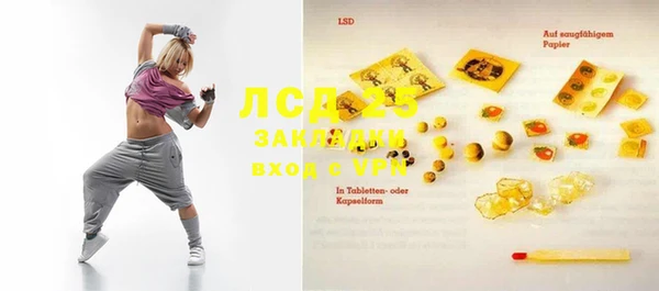 PSILOCYBIN Верхний Тагил