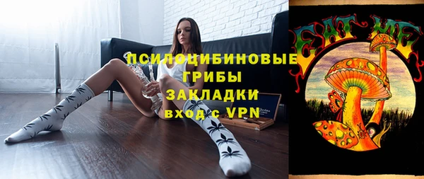 PSILOCYBIN Верхний Тагил