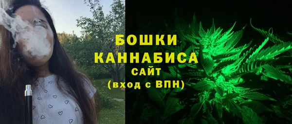 PSILOCYBIN Верхний Тагил